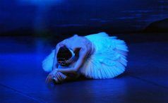 EL LAGO DE LOS CISNES – Ballet de San Petersburgo en el Teatro EDP Gran Vía