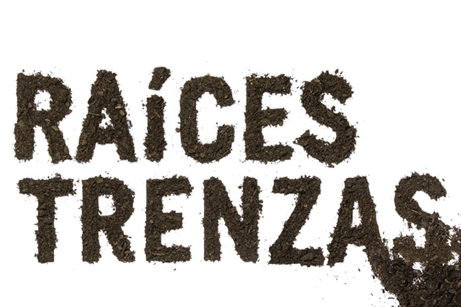 RAICES TRENZAS