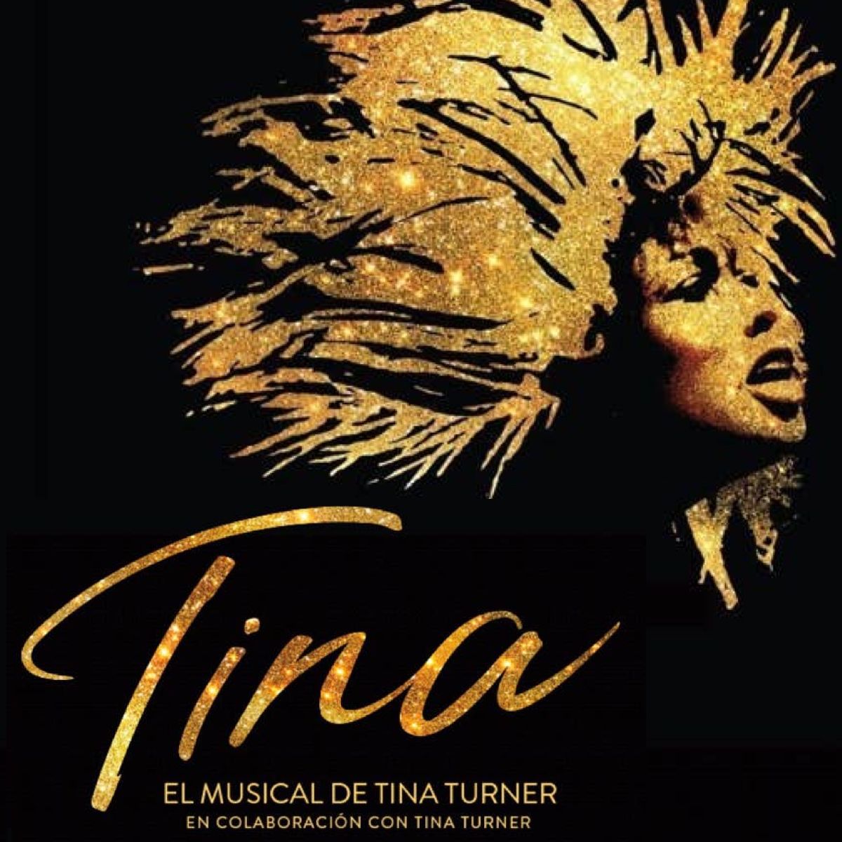 TINA el musical, en el teatro Coliseum – Madrid Es Teatro