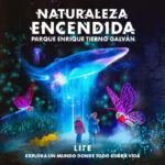 NATURALEZA ENCENDIDA, LIFE, en el Parque Tierno Galván - Madrid Es Teatro