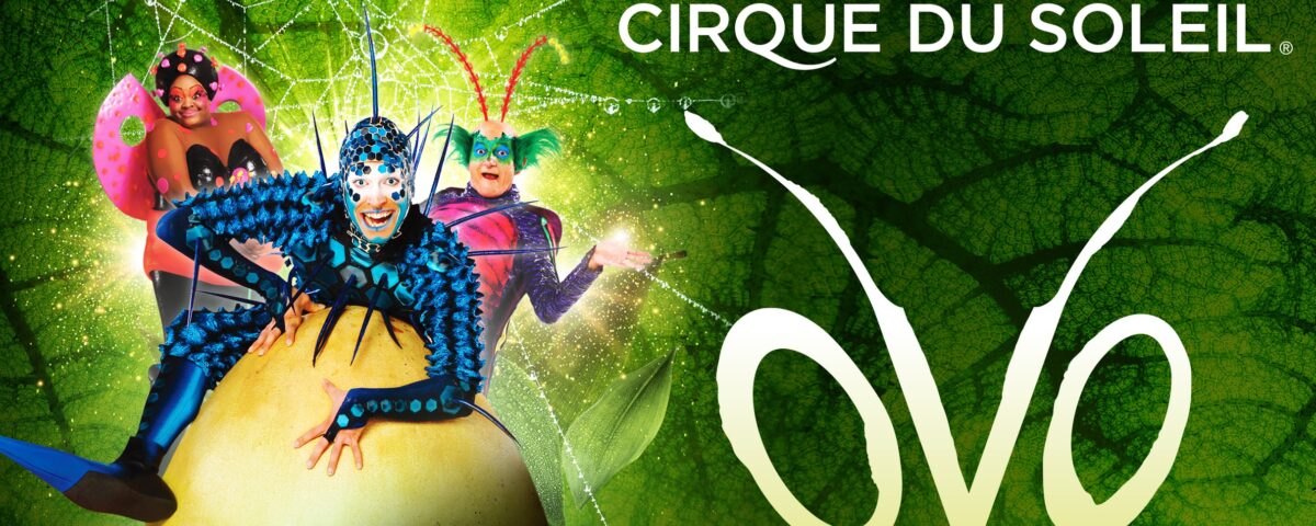 OVO, Circo del sol, en el MOVISTAR ARENA - Madrid Es Teatro