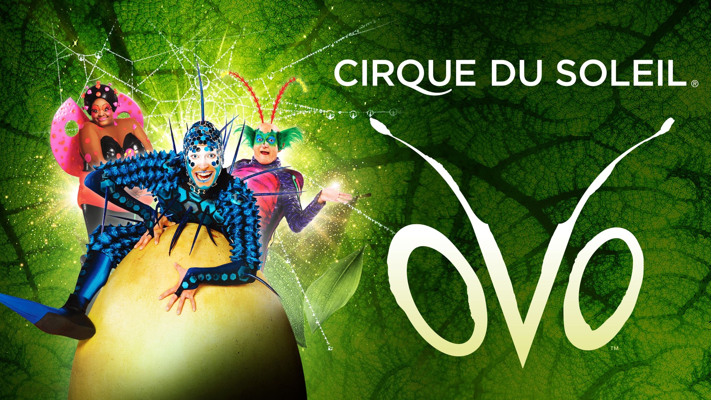 OVO, Circo del sol, en el MOVISTAR ARENA