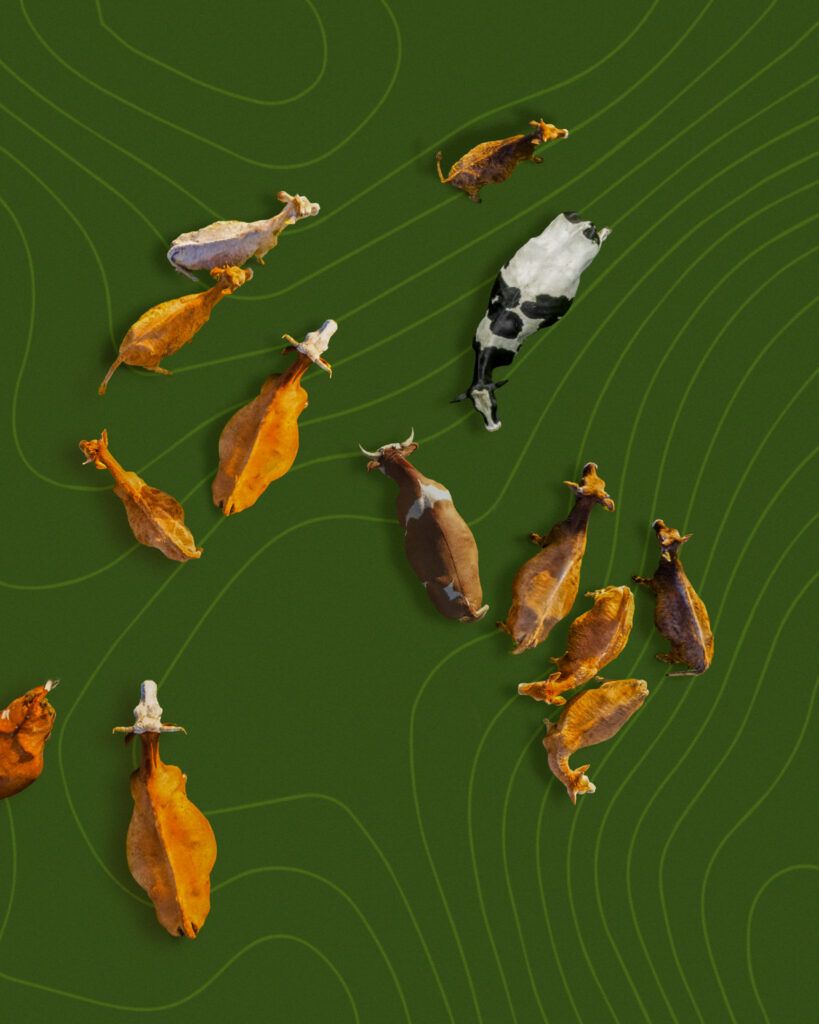 TINIEBLAS en el Teatro Valle Inclán - Madrid Es Teatro