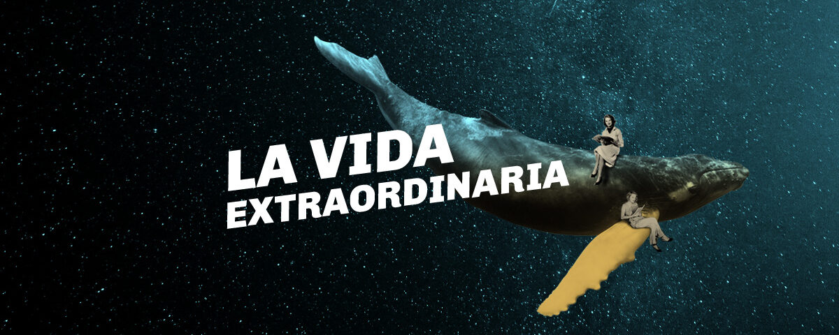 LA VIDA EXTRAORDINARIA en los Teatros del Canal - Madrid Es Teatro