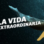 LA VIDA EXTRAORDINARIA en los Teatros del Canal - Madrid Es Teatro