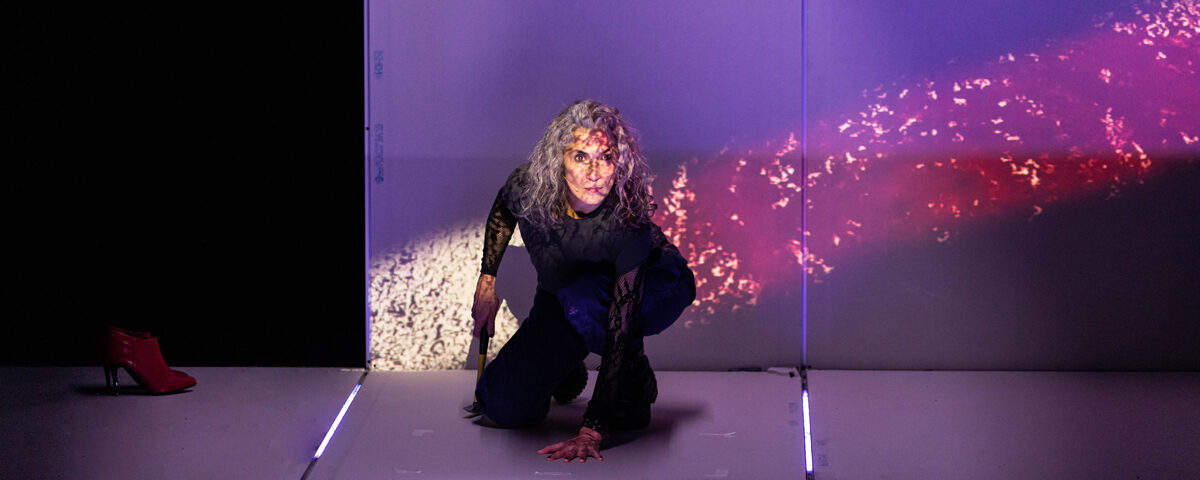 TEORÍA KING KONG en el Teatro de la Abadía - Madrid Es Teatro