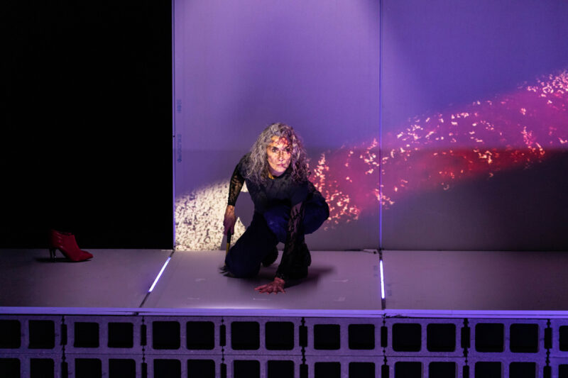 TEORÍA KING KONG en el Teatro de la Abadía