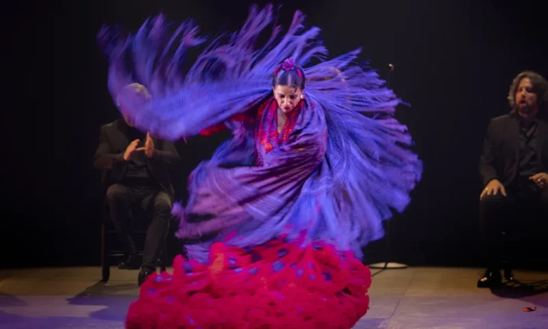 Eva Yerbabuena YERBAGÜENA (OSCURO BRILLANTE) en el Centro Matadero Danza