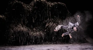 Baro d`evel QUI SOM? en el Centro Danza Matadero - Madrid Es Teatro