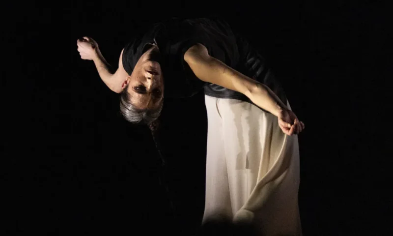 Sara Jiménez AVE DE PLATA en el Centro Danza Matadero - Madrid Es Teatro