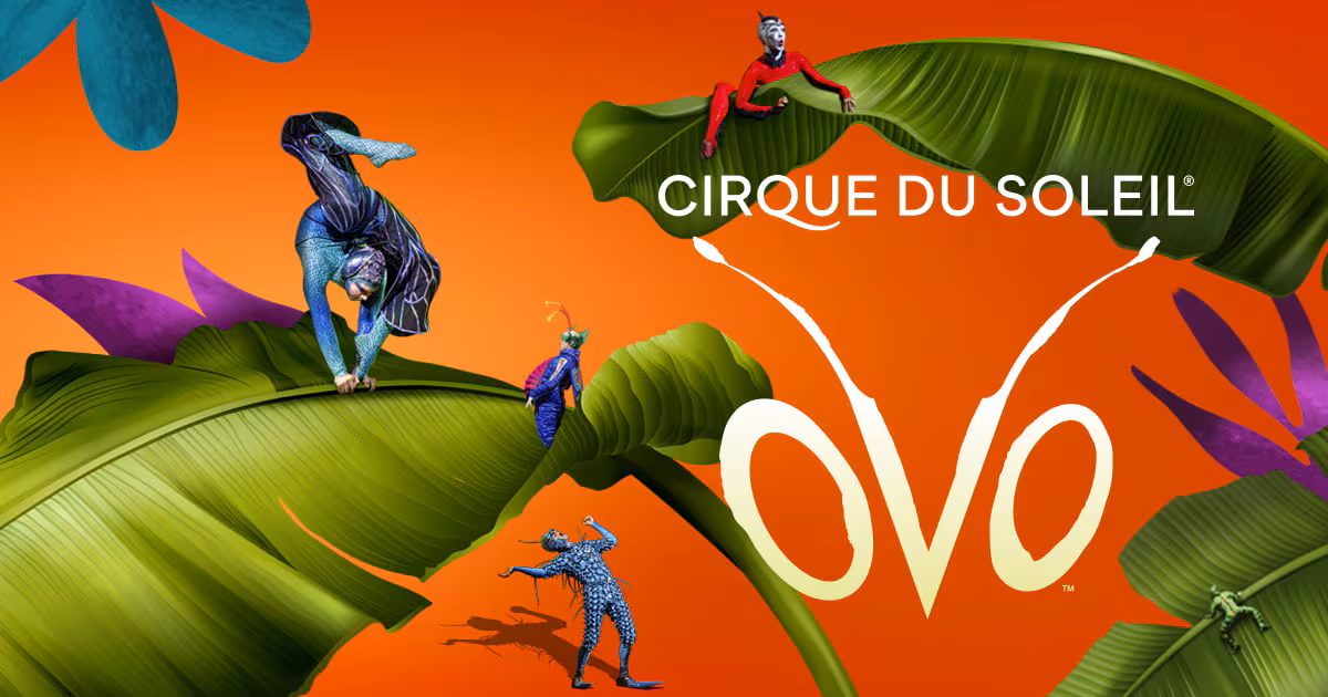 cirque-du-soleil-ovo-share-1200×630